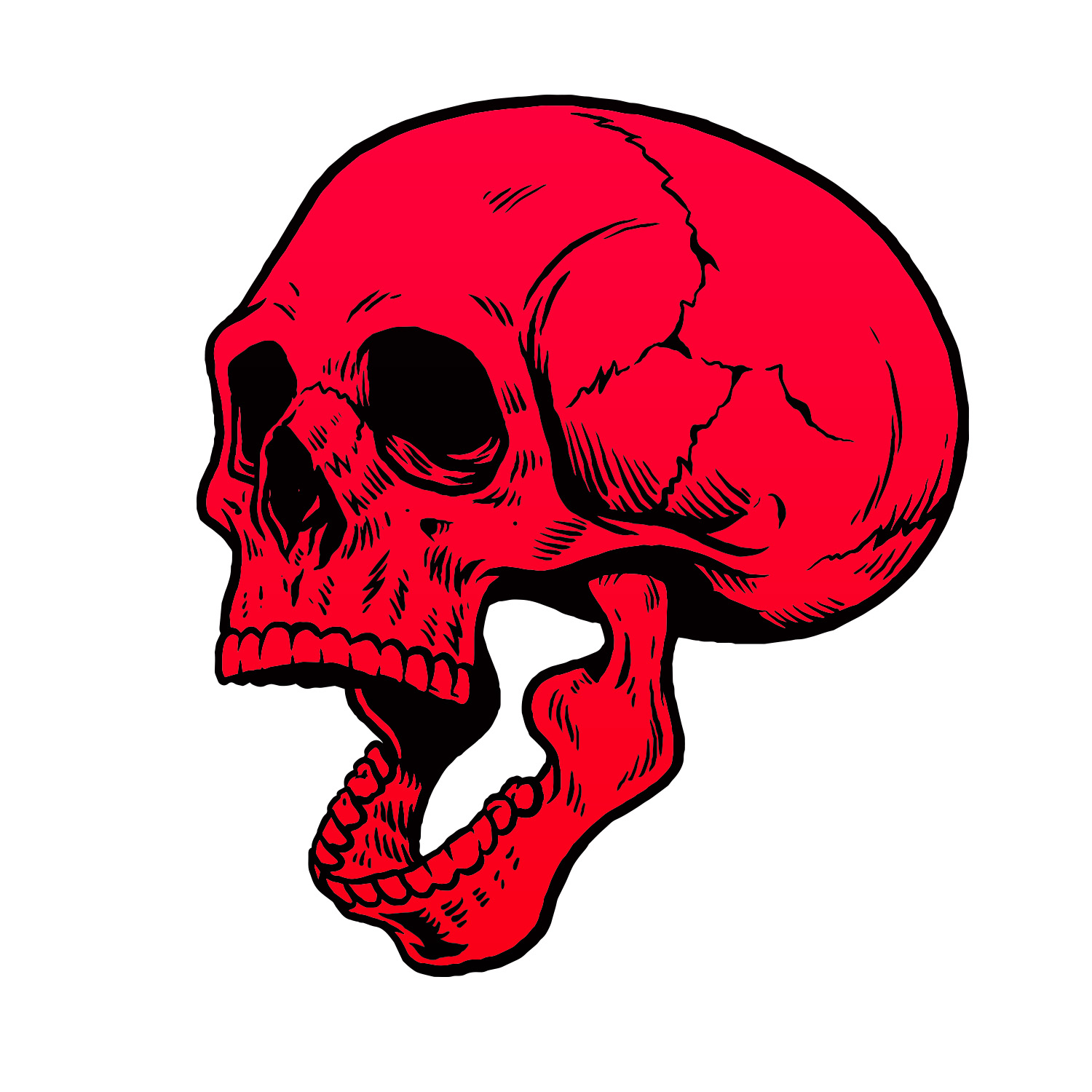 Help us solve the mystery of our missing skulls this Halloween