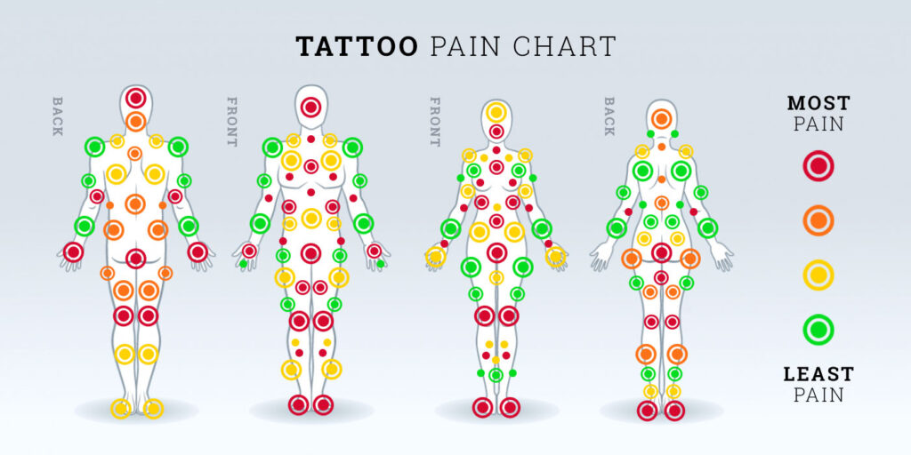 Tattoo Pain Chart How Much Will It Hurt  Wild Tattoo Art