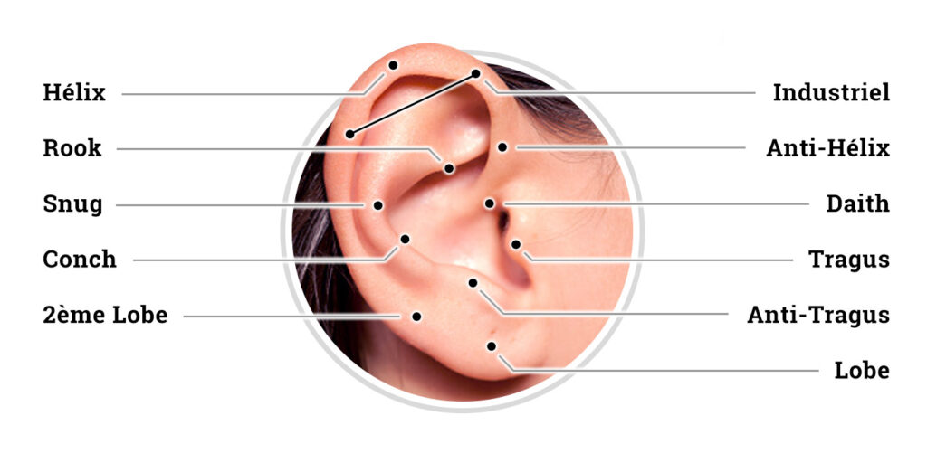 image d'un oreille avec le nom des différents piercings