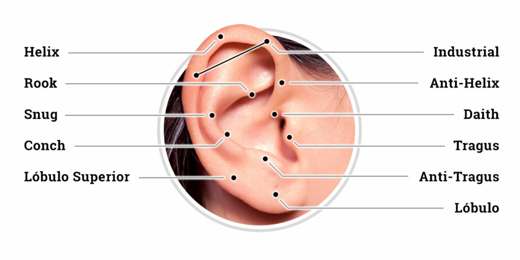 image of an ear with the name of the different piercings